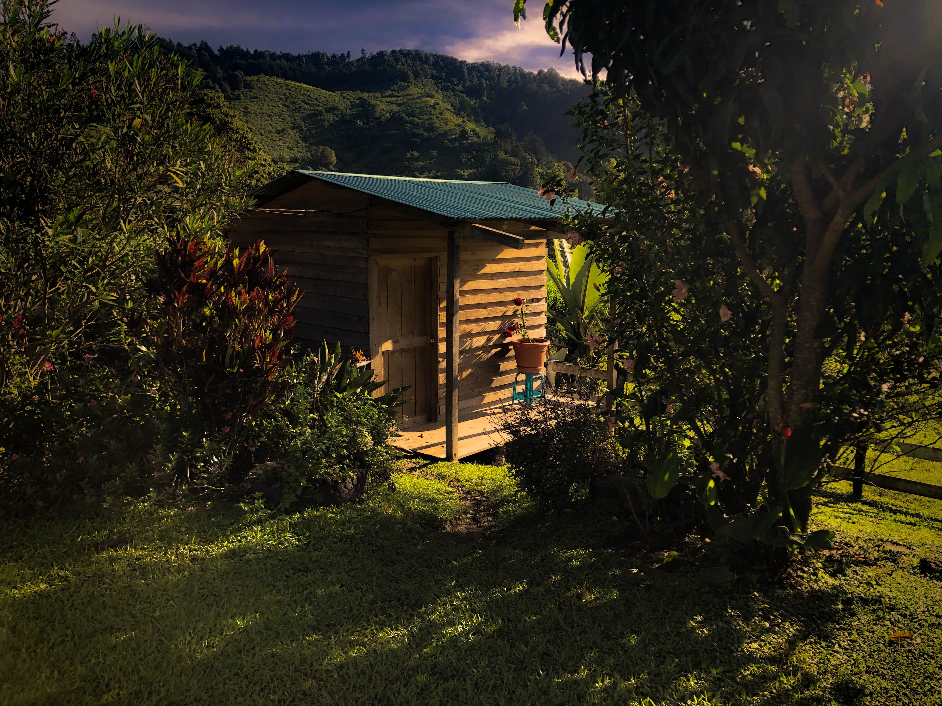 Wooden cabin nestled among trees with a mountainous background